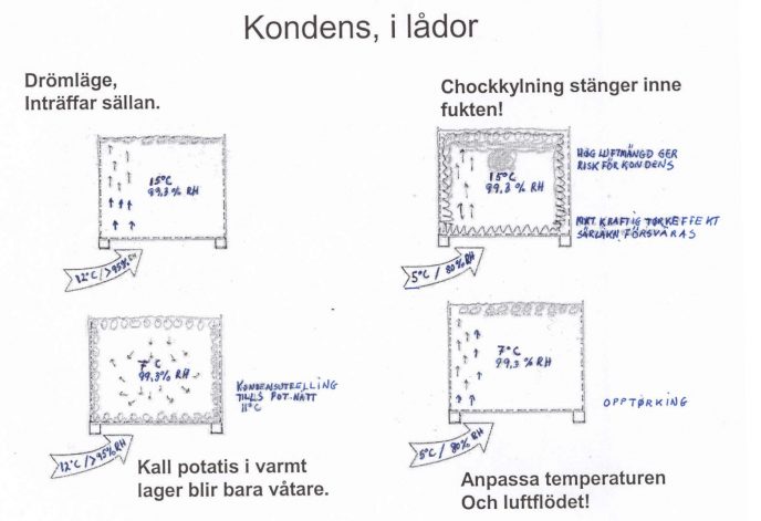 Kondens i potetkasser