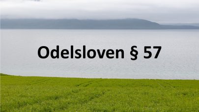 Odelsloven