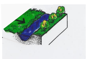 Grasdekt kantvegetasjon eller planting