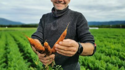 NES Thomas med gulrot av sorten YUKON