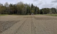 Bilde 1 Oversikt etter 1 harving