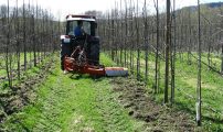 195 Markvandring Egge radfresing 036