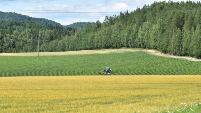 NLR Viken Modum Landskap 5660