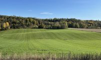 IMG 7681