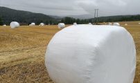 Rundball kjop og salg halm