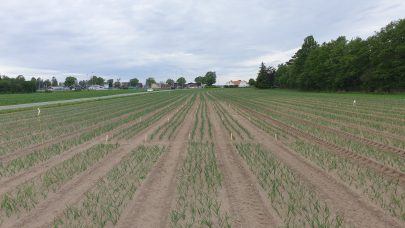 03 06 2021 Nordox felt lok 3 juni 21