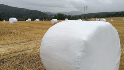 Rundball kjop og salg halm