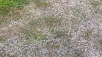 Image2