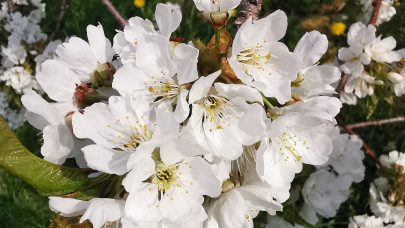 IMG 20210514 170003