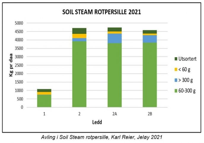 Soil Steam Figur 3