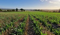 Karbon Agro