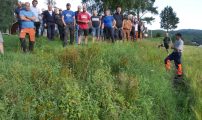 Makvandring med pollinatorstripe