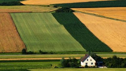 Vekstskifte i grovforproduksjonen