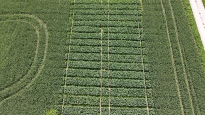 Dji export 1657284236692