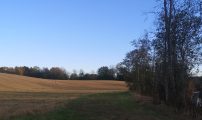 Stubb kantsone bilde