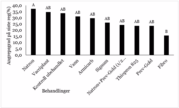 Figur 1: Angrepsgrad av meldugg ved siste registrering.