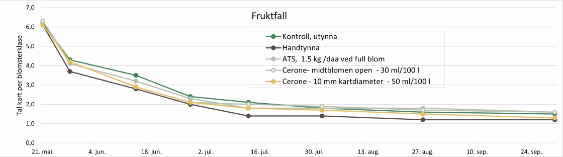 Figur 2 Den vertikale aksen viser tal kart per blomeklase og den horisontale aksen tida fra blomstring til hausting