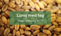 Lunsj med fag 2025