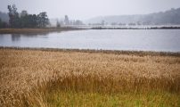 Foto: Åsmund Langeland