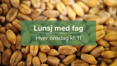 Lunsj med fag 2025