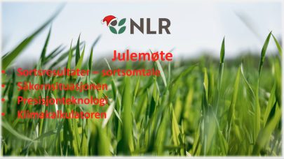 Skjermbilde 2025 12 19 kl 09 12 14