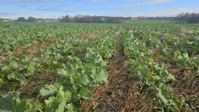 Hostraps Ingvild Evju