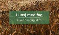 Lunsj med fag 2026