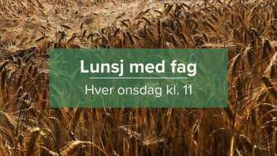 Lunsj med fag 2026