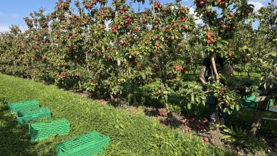 Hovedbilde Forsokshosting 20250910