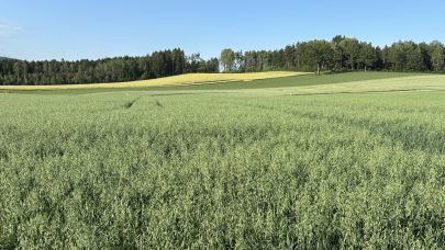 Havre 2025 Foto Rune Karlsen