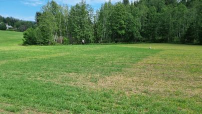 Direktesaing Korn Svein Ivar Anestad