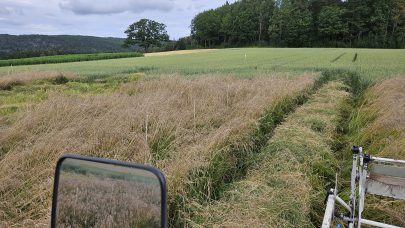 Hovedbilde og bilde 1 Swaj Hosting 30 juli