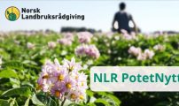 NLR PotetNytt