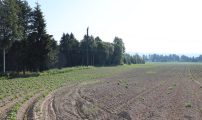 260623 Glyfosat settepotet 05