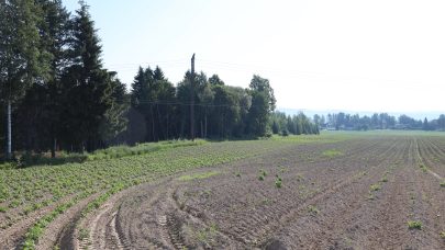 260623 Glyfosat settepotet 05