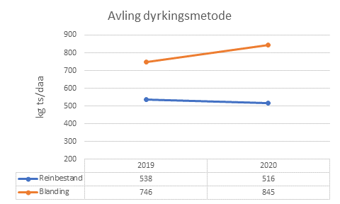 Graf avling akerbonner 2019 og 2020