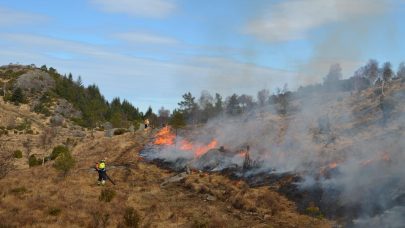 Tenning langs ein sti brenning oppover Lilland Foto Anna Marie Gjerdrem