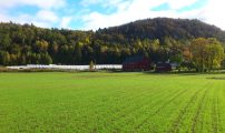 JAT gjenlegg Reddal gras gront