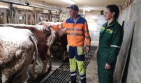 Ny avloyser i Adneram 2020 ibs