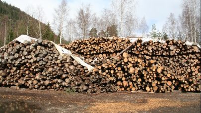 Bygland Kjetil Oi FMAV 1