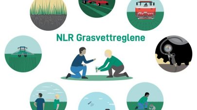 Grasvettplansje