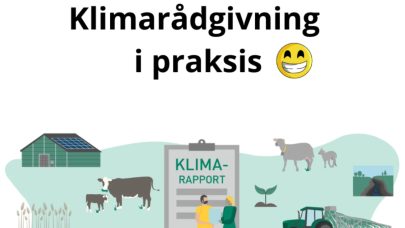 Klimaradgiving i praksis