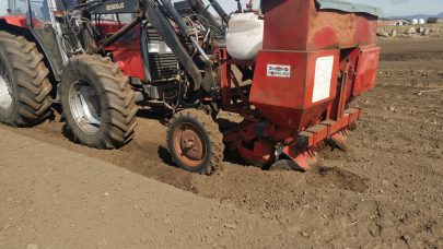 HERO Alternativ radgjodsling til potet