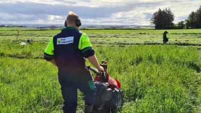 Forsoksslatt Foto Ole Arnfinn Roysland Fitjar