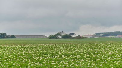 NLR Rogaland Klepp Norheim Gard 2572