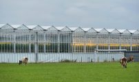 NLR Rogaland Klepp Norheim Gard 2659
