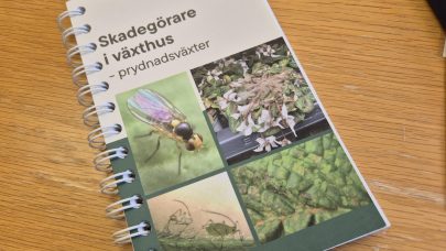 Nytt skadegjorere i veksthus hefte