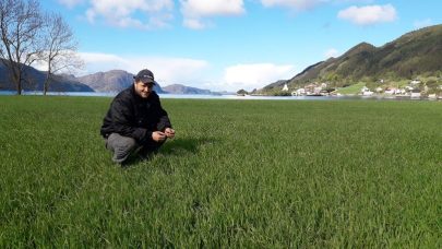 Bjorge i enga ved sjoen 2019