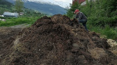 IMG 20200603 205351