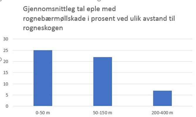 Tabell rognebaermoll